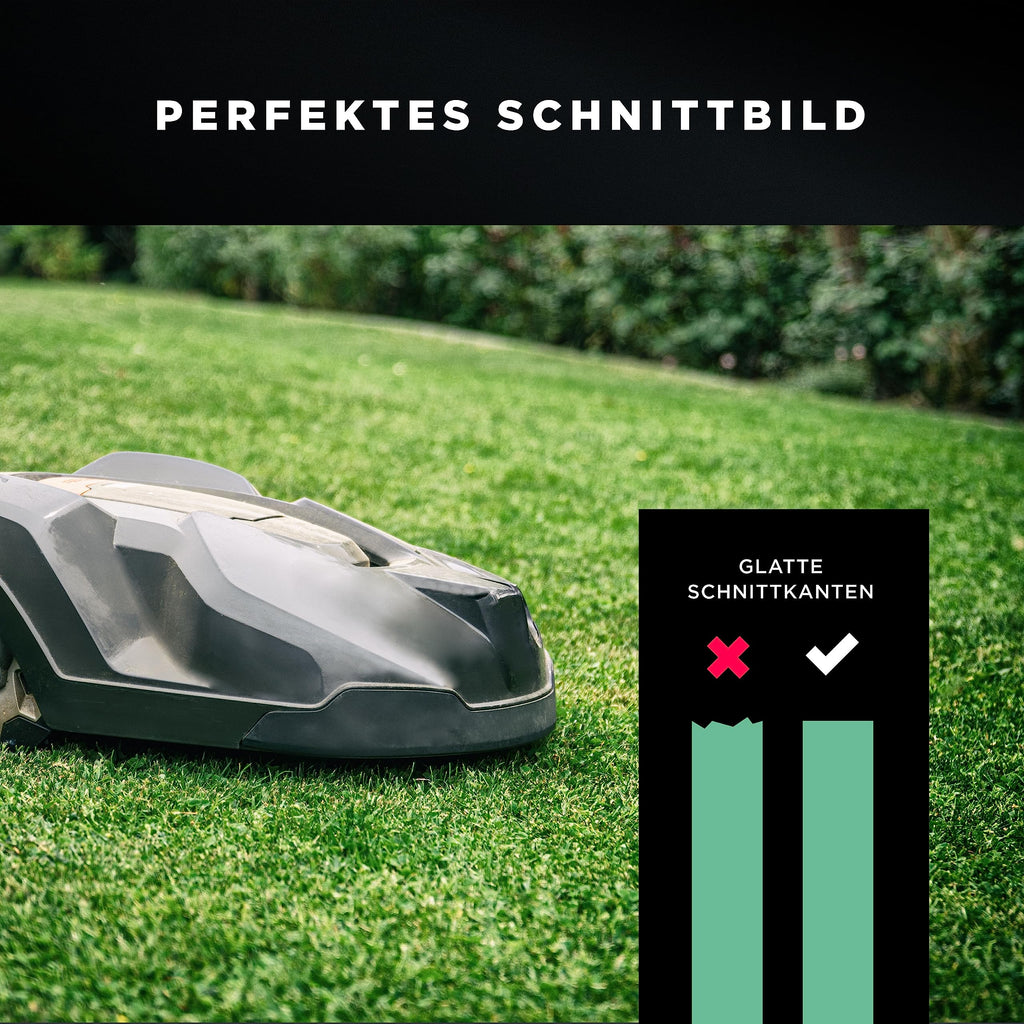 RASENWERK® - Hochwertige Mähroboter Messer mit passenden Schrauben - Universal Ersatzklingen Ersatzmesser für die Marken Worx, LandXcape, Zoef Robot und Einhell – Rasenroboter Messerset – 30 Stück