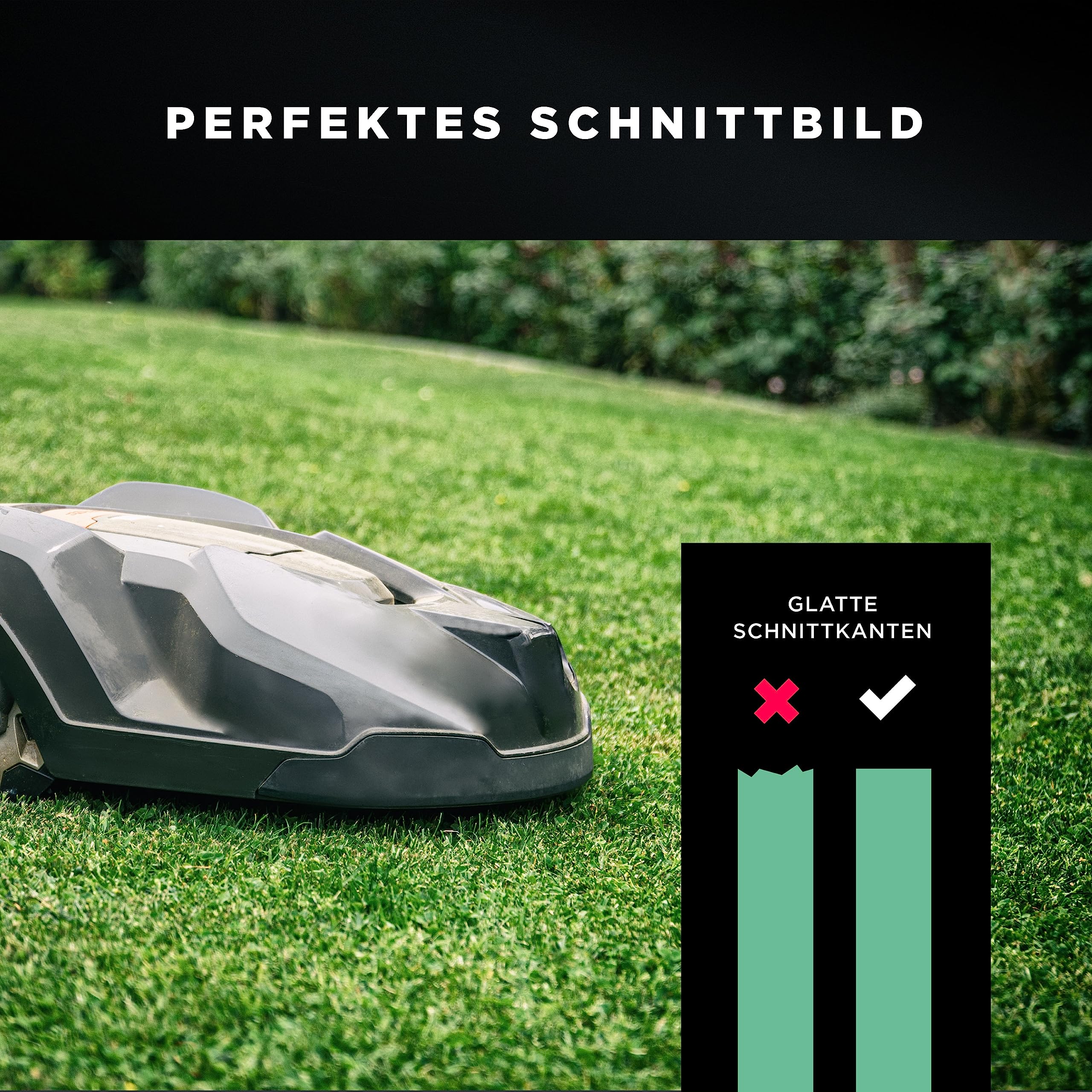 RASENWERK® - Hochwertige Mähroboter Messer mit passenden Schrauben - Universal Ersatzklingen Ersatzmesser für die Marken Worx, LandXcape, Zoef Robot und Einhell – Rasenroboter Messerset – 30 Stück